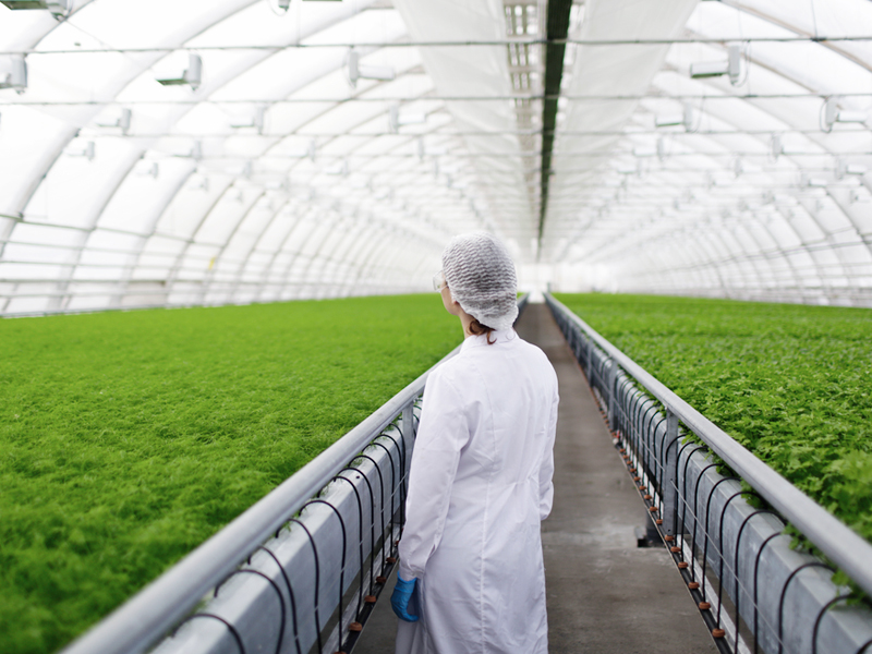 微酸性電解水技術在農藥殘留去除中的應用