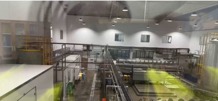 次氯酸發生器技術革新：提升海產品處理加工的安全與效率