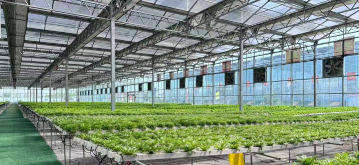 次氯酸發生器在農業種植中的應用案例分析