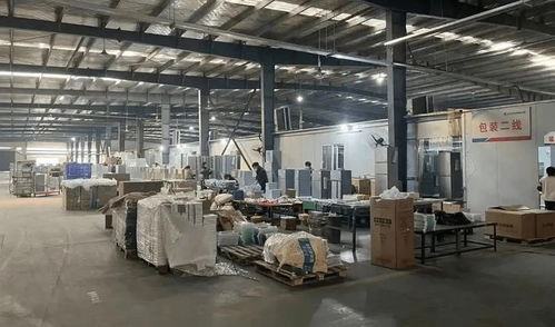 95后小宇宙的能量 做傳統小家電一年銷售近百萬美金