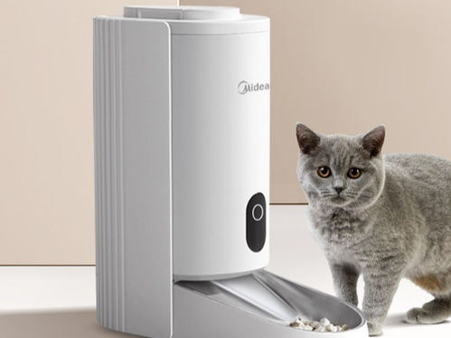 智慧生活頻道 深度解碼家用電器如何重塑現(xiàn)代生活