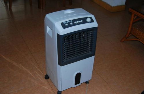 新居家電避坑指南 盤點七件最易閑置的“裝灰”電器